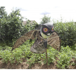 Owl Bird Repeller