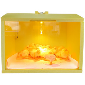 Automatic brooder for chickens "SITITEK HD 50W Auto"