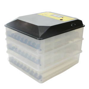 Automatical incubator "SITITEK 196"