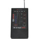  Bug detector BugHunter Professional BH-02 Rapid 10 GHz